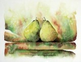 aquarelle poires (alt)
